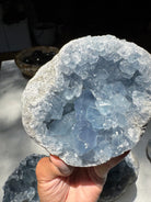 Celestite Cluster Baltic Mermaid