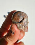 Cantera Opal Skull