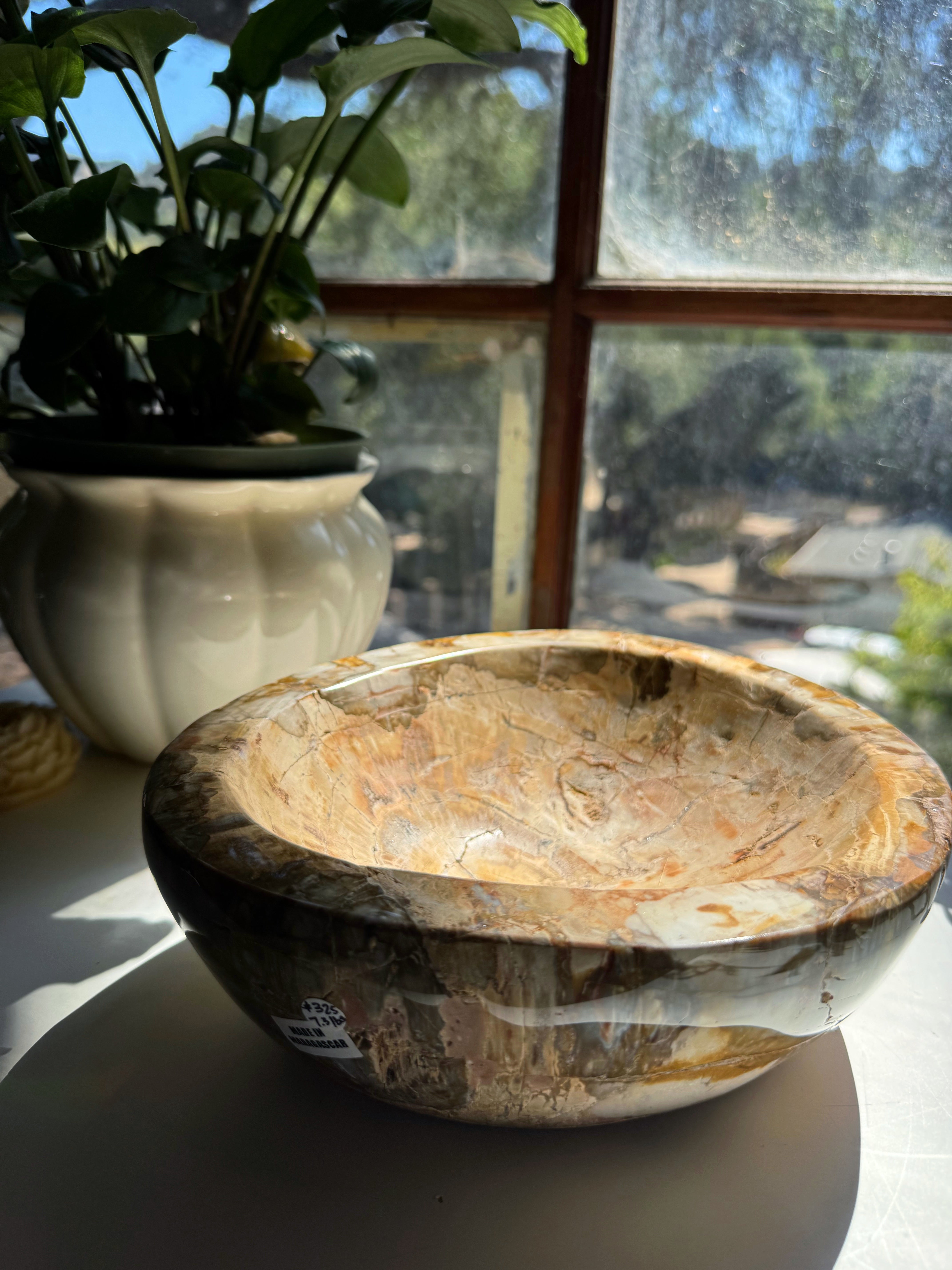 Large Petrified Wood Bowl Baltic Mermaid