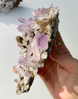 Veracruz Amethyst Cluster