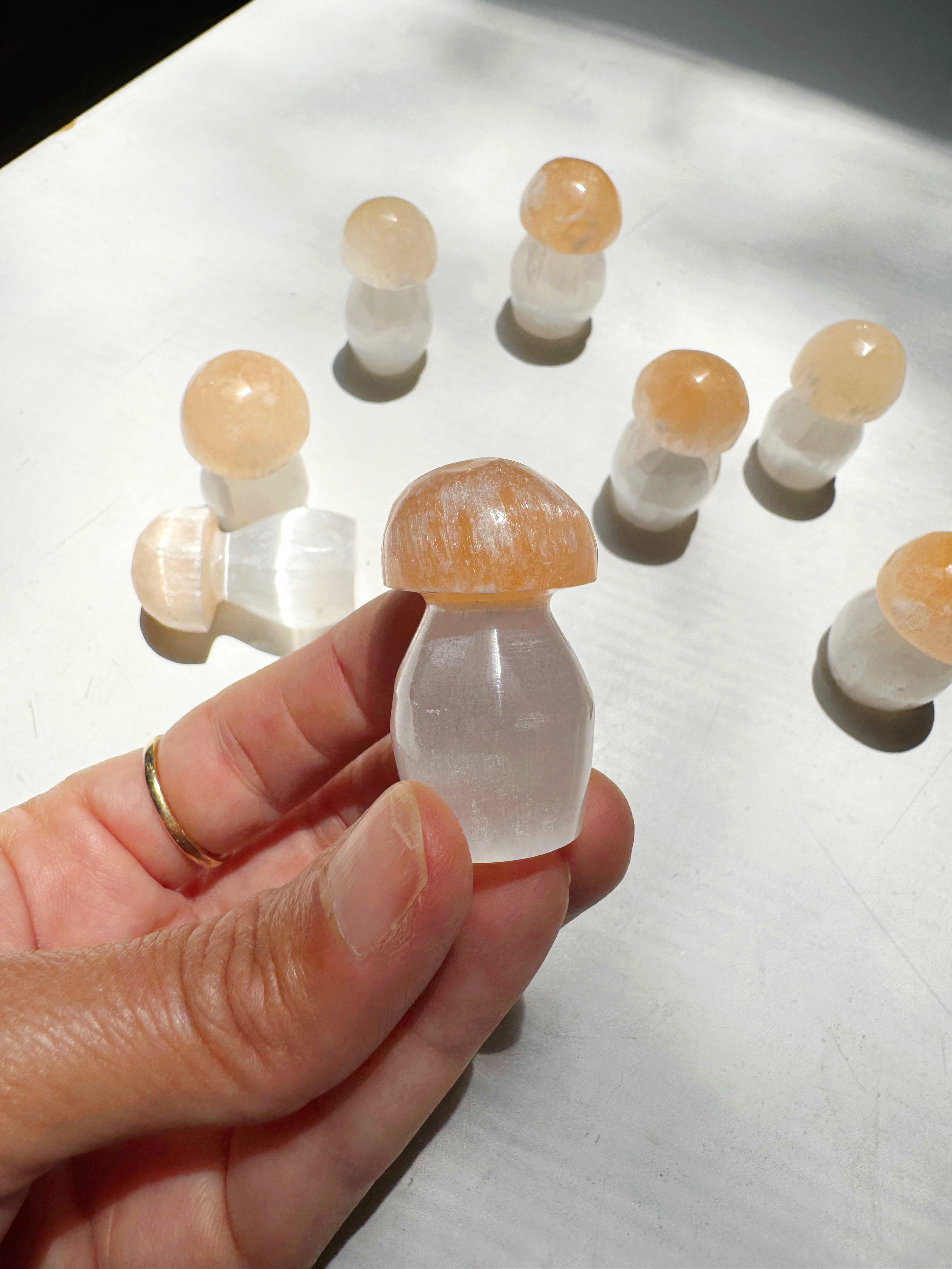 Lil’ Selenite Mushrooms Baltic Mermaid