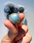 Labradorite Mini Spheres AAA