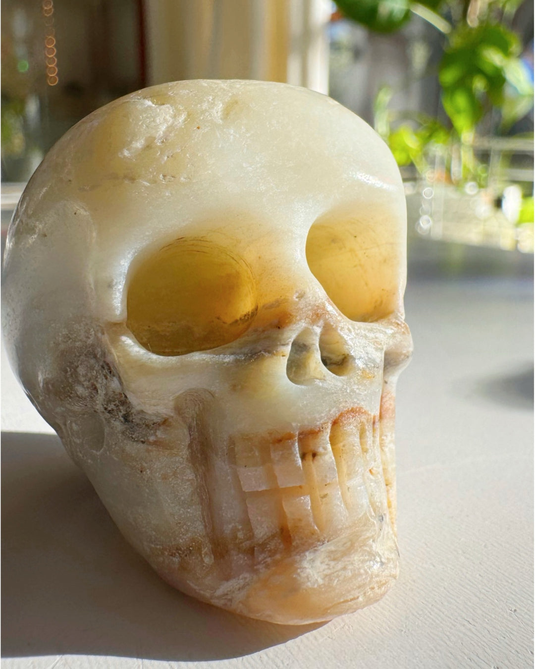 Peruvian Opal Skull - Baltic Mermaid
