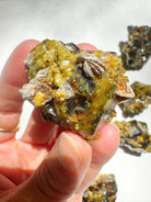 Rare Mali Green Grossular Andradite Garnet w/ Clinochlore AAA Quality Baltic Mermaid