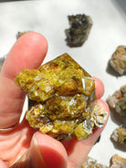 Rare Mali Green Grossular Andradite Garnet w/ Clinochlore AAA Quality Baltic Mermaid