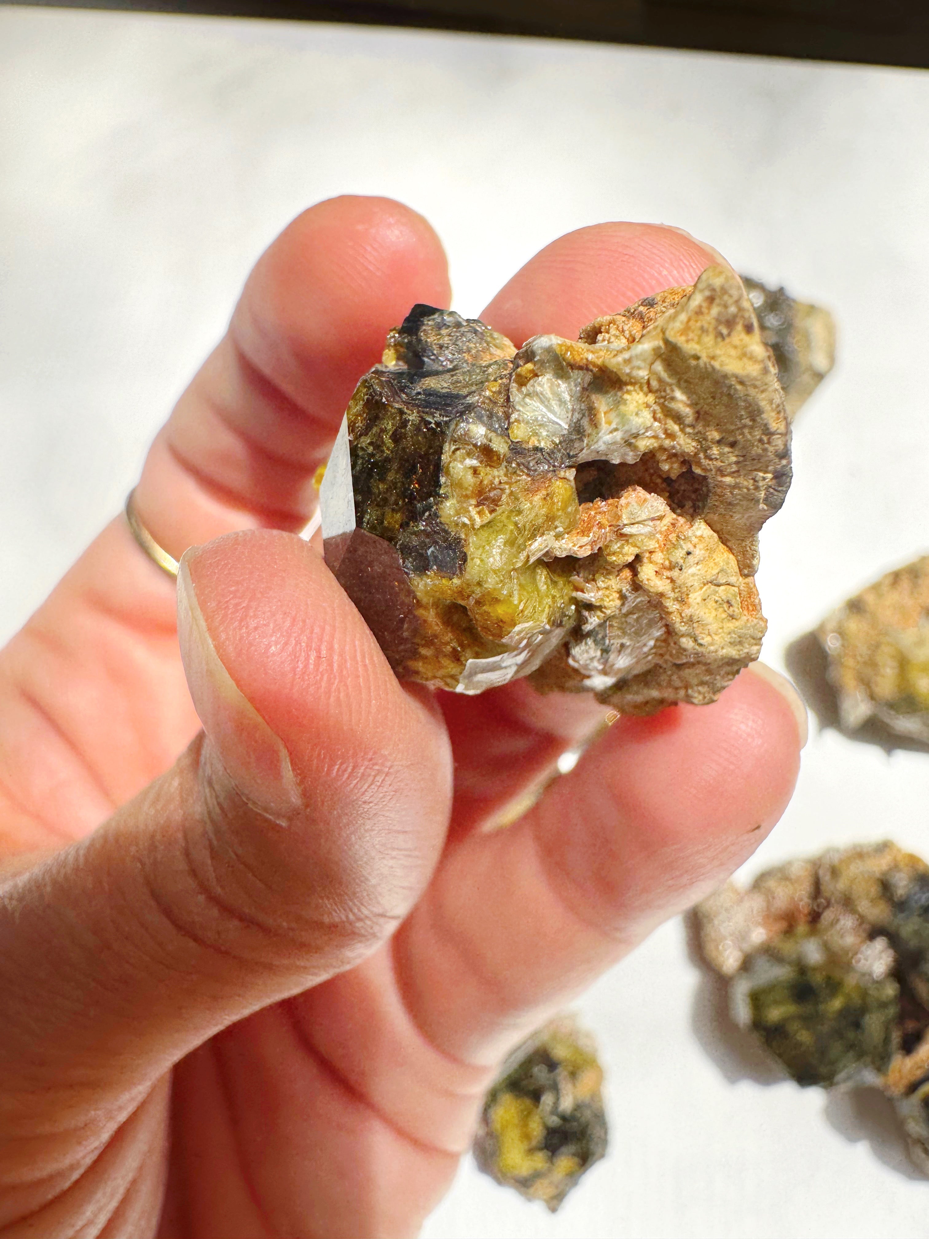Rare Mali Green Grossular Andradite Garnet w/ Clinochlore AAA Quality Baltic Mermaid