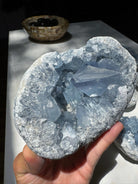 Celestite Cluster Baltic Mermaid