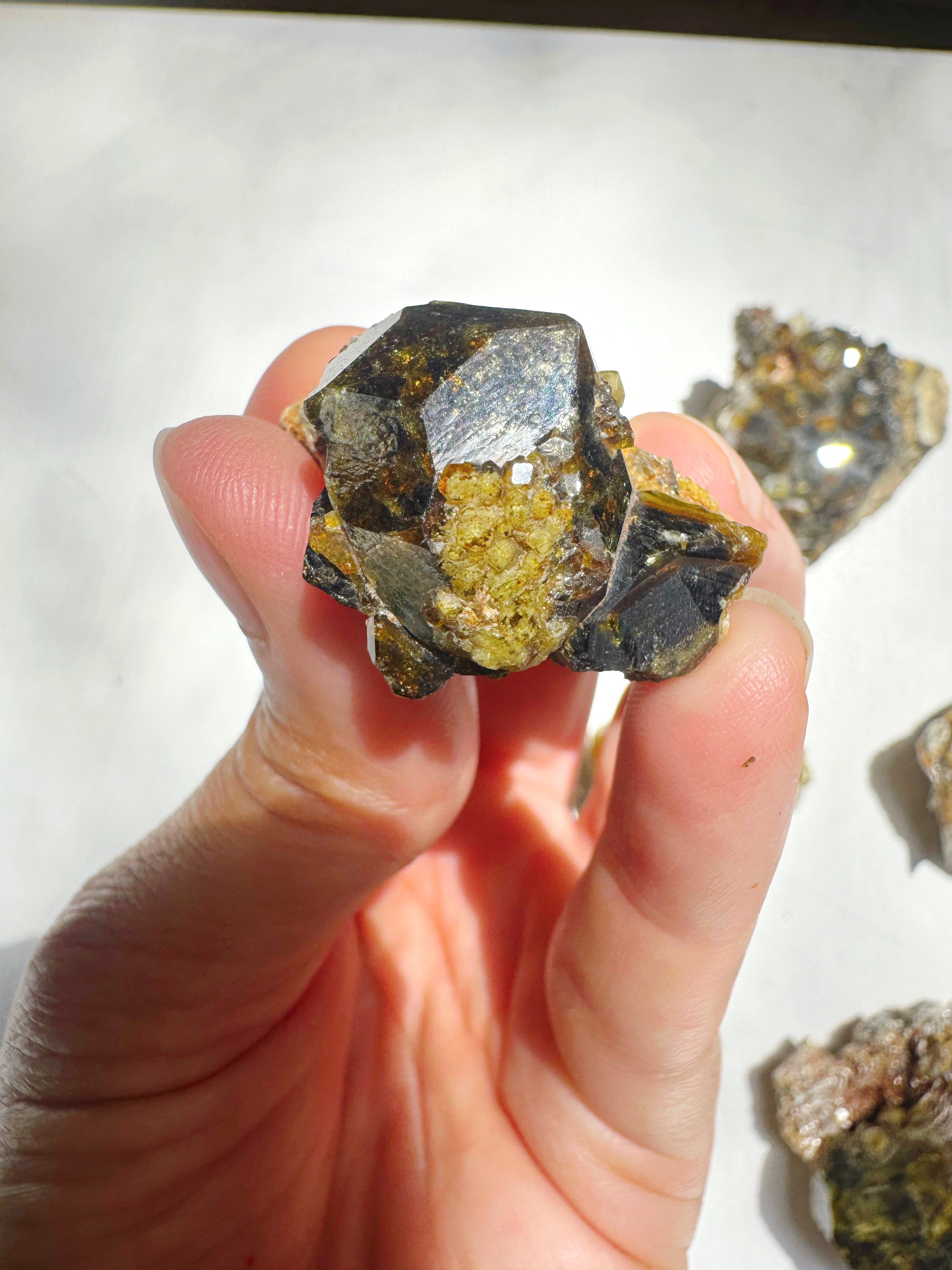 Rare Mali Green Grossular Andradite Garnet w/ Clinochlore AAA Quality Baltic Mermaid