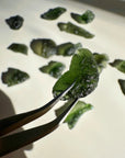 Chlum Moldavite  