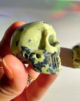 Serpentine Skull