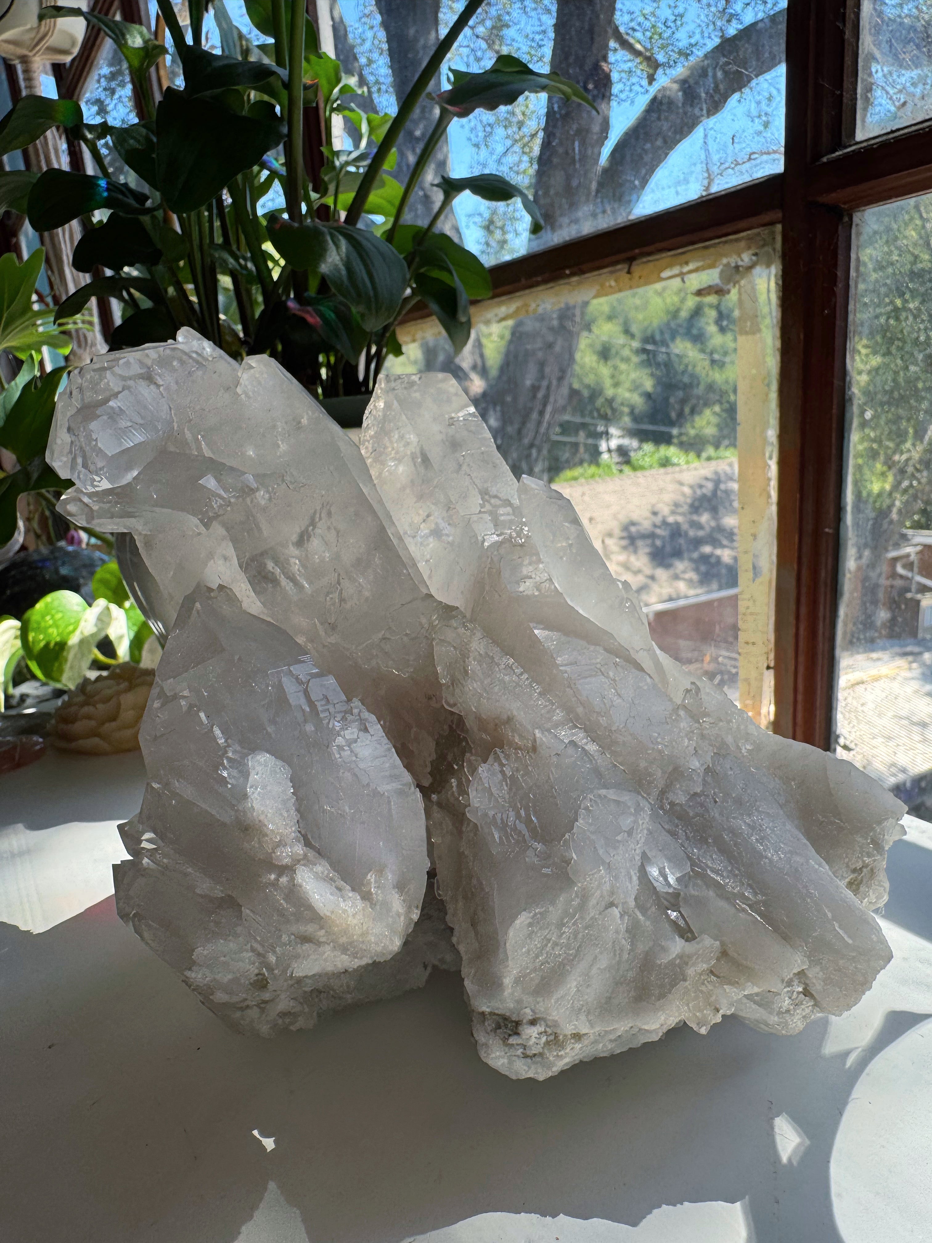 Large Rutilated Lemurian Quartz Cluster from Brazil Baltic Mermaid