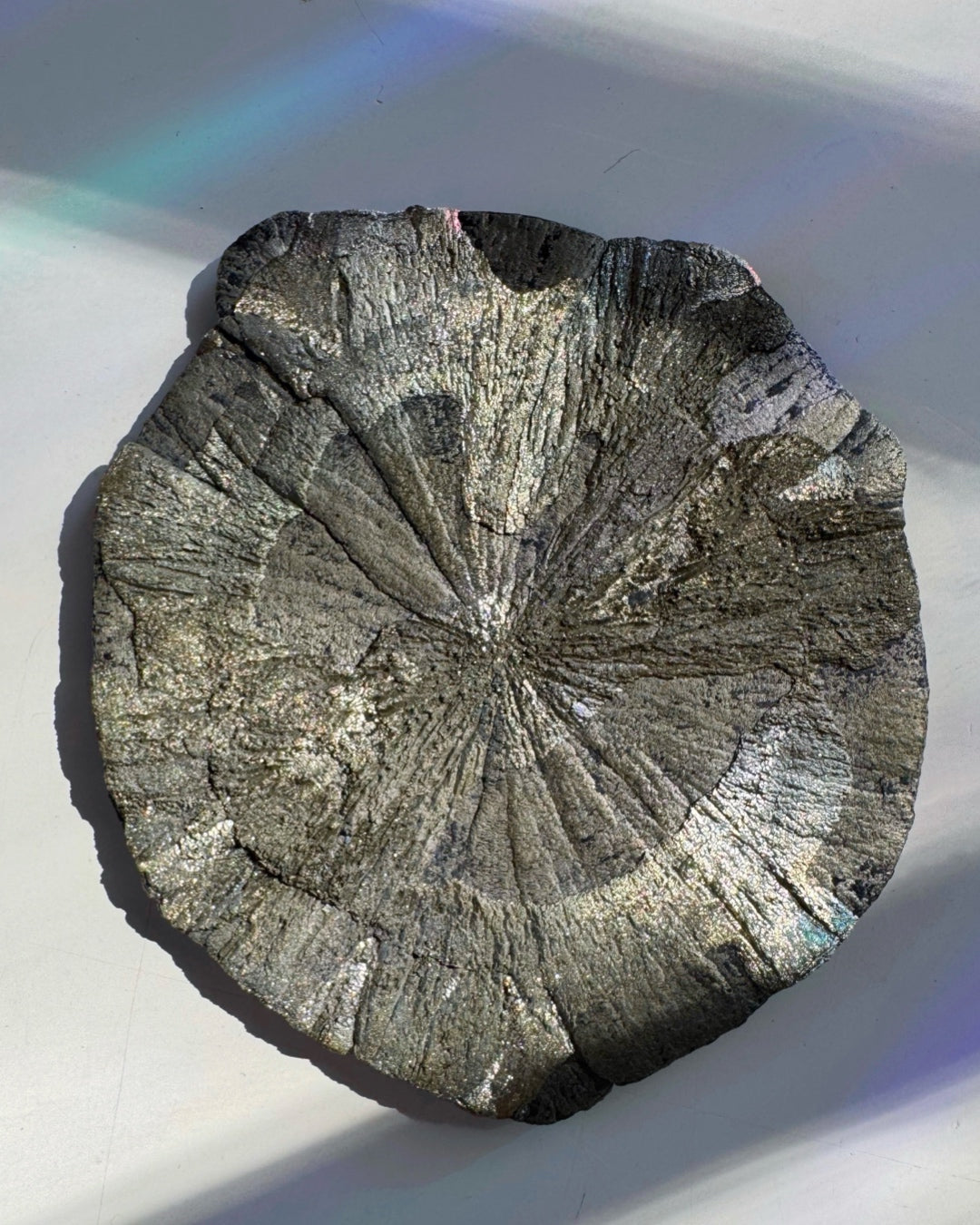 Pyrite Sun - Baltic Mermaid