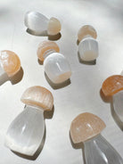Lil’ Selenite Mushrooms Baltic Mermaid