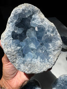 Celestite Cluster Baltic Mermaid
