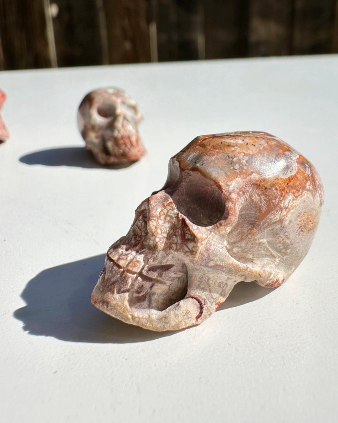 Cantera Opal Skull