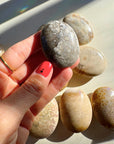 Fossil Coral Agate Palm Stones