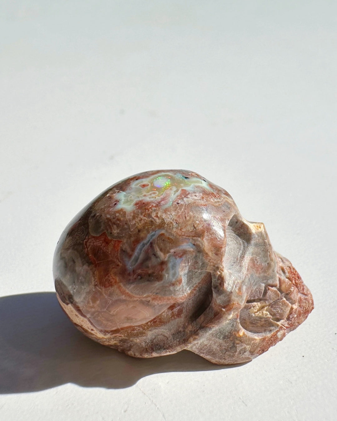 Cantera Opal Skull