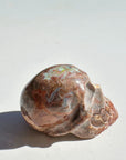 Cantera Opal Skull