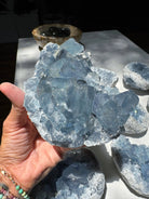 Celestite Cluster Baltic Mermaid