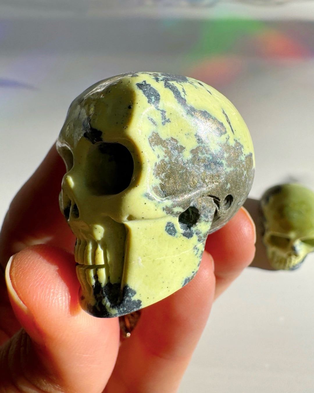 Serpentine Skull - Baltic Mermaid