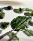 Chlum Moldavite  