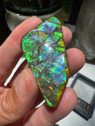 Ammolite Gemstone Hand Specimen Baltic Mermaid