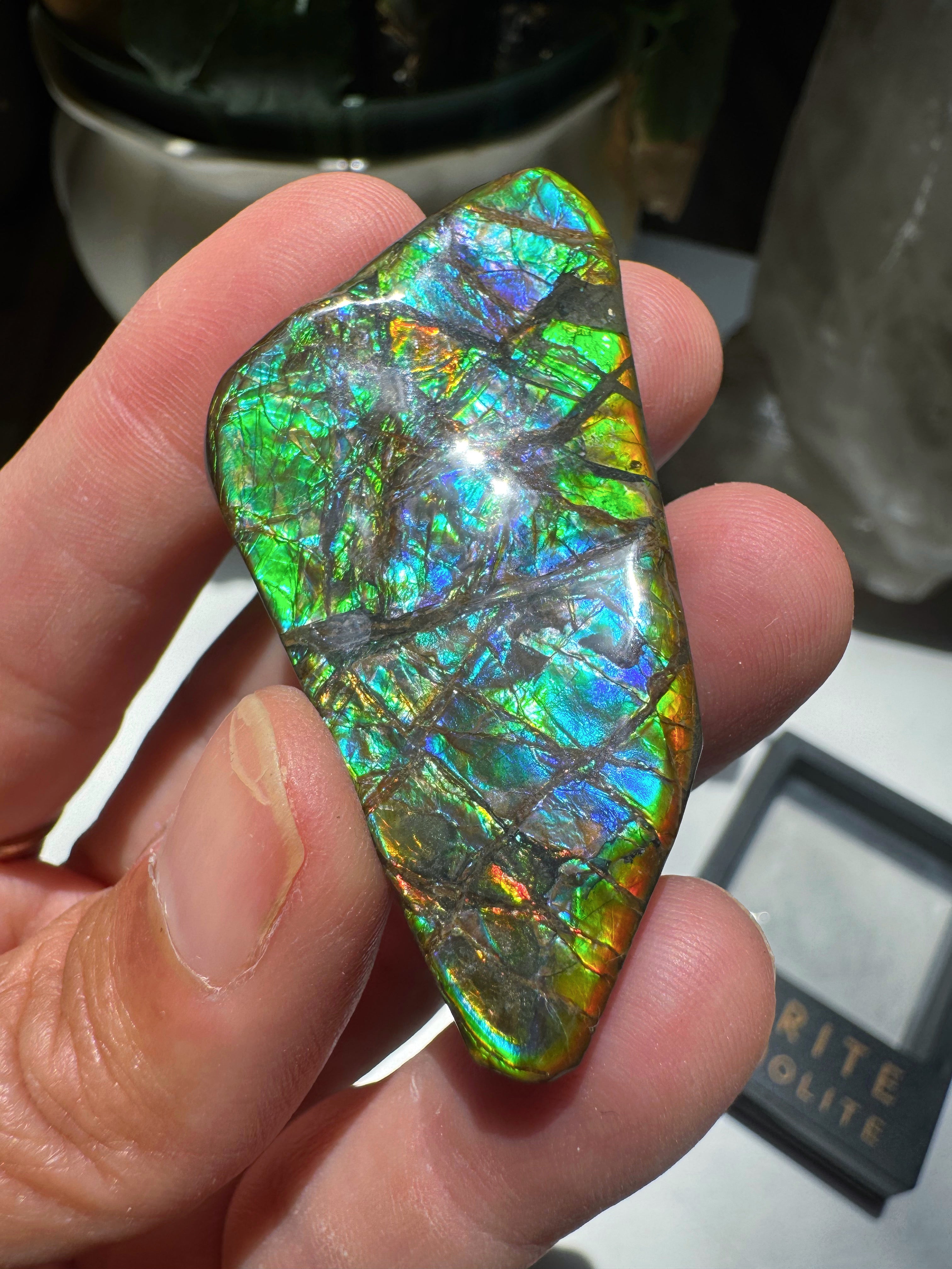Ammolite Gemstone Hand Specimen Baltic Mermaid