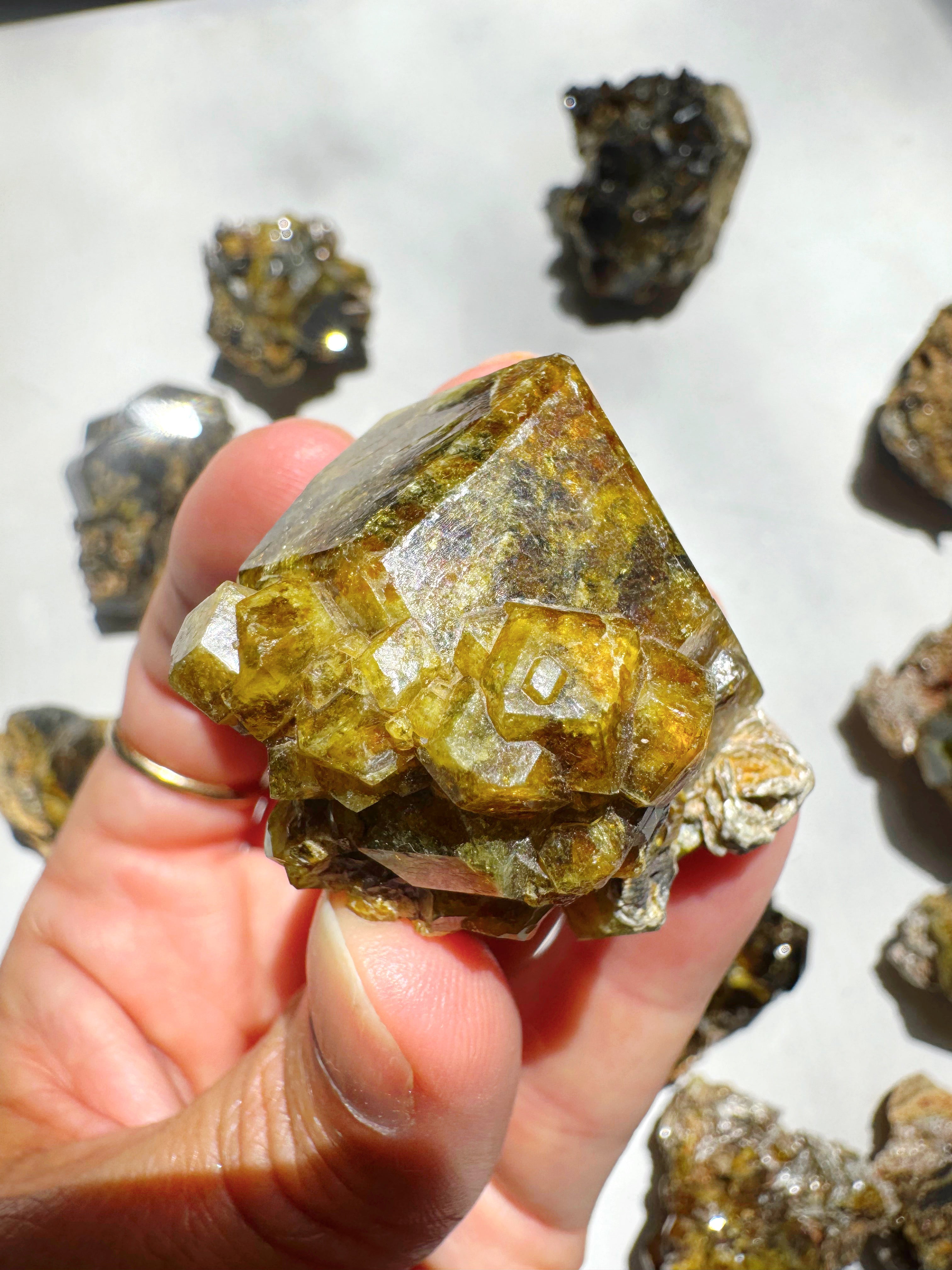 Rare Mali Green Grossular Andradite Garnet w/ Clinochlore AAA Quality Baltic Mermaid