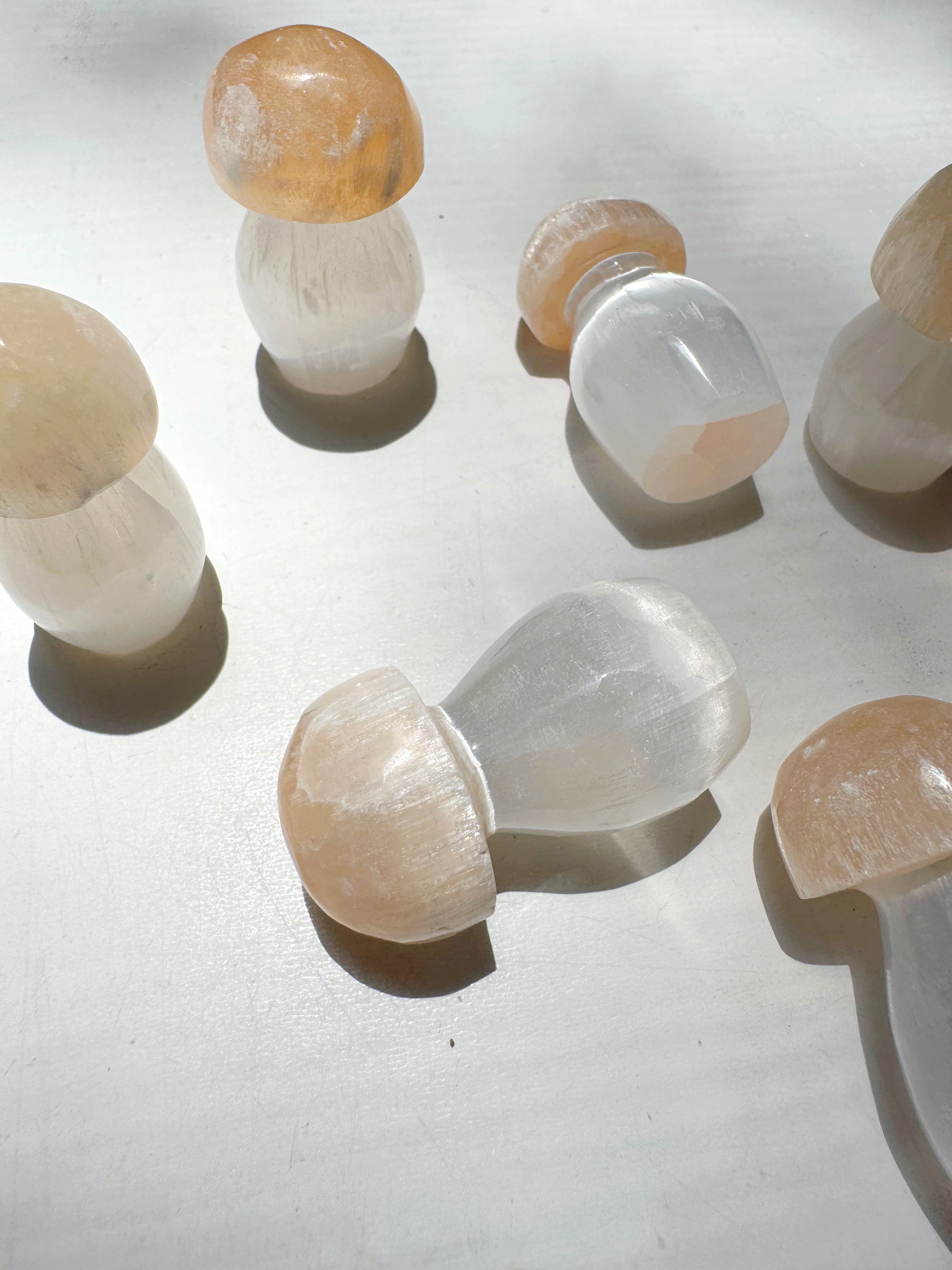 Lil’ Selenite Mushrooms Baltic Mermaid