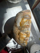 Large Petrified Wood Bowl Baltic Mermaid