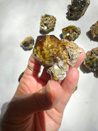 Rare Mali Green Grossular Andradite Garnet w/ Clinochlore AAA Quality Baltic Mermaid