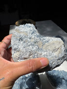 Celestite Cluster Baltic Mermaid