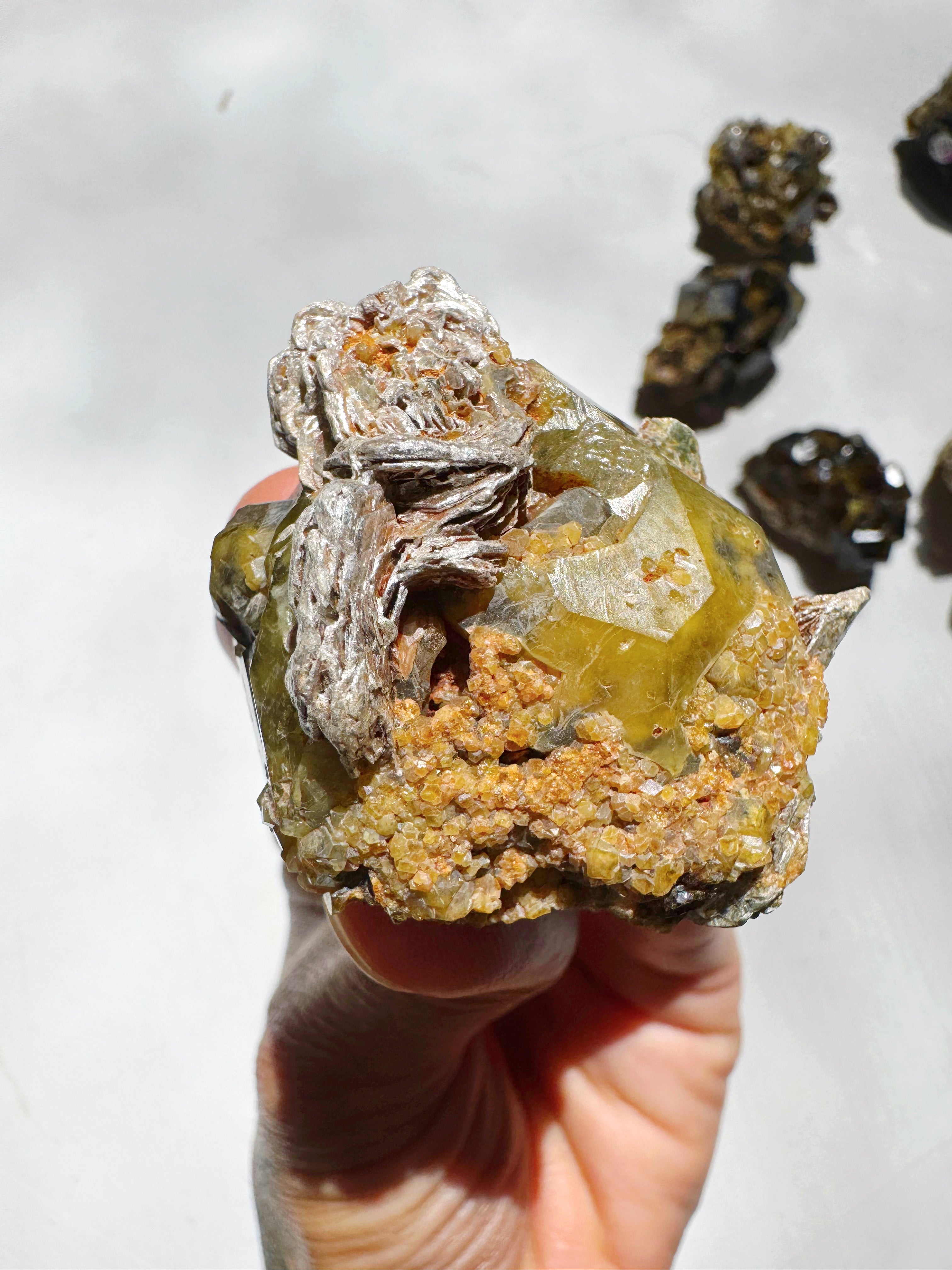 Rare Mali Green Grossular Andradite Garnet w/ Clinochlore AAA Quality Baltic Mermaid