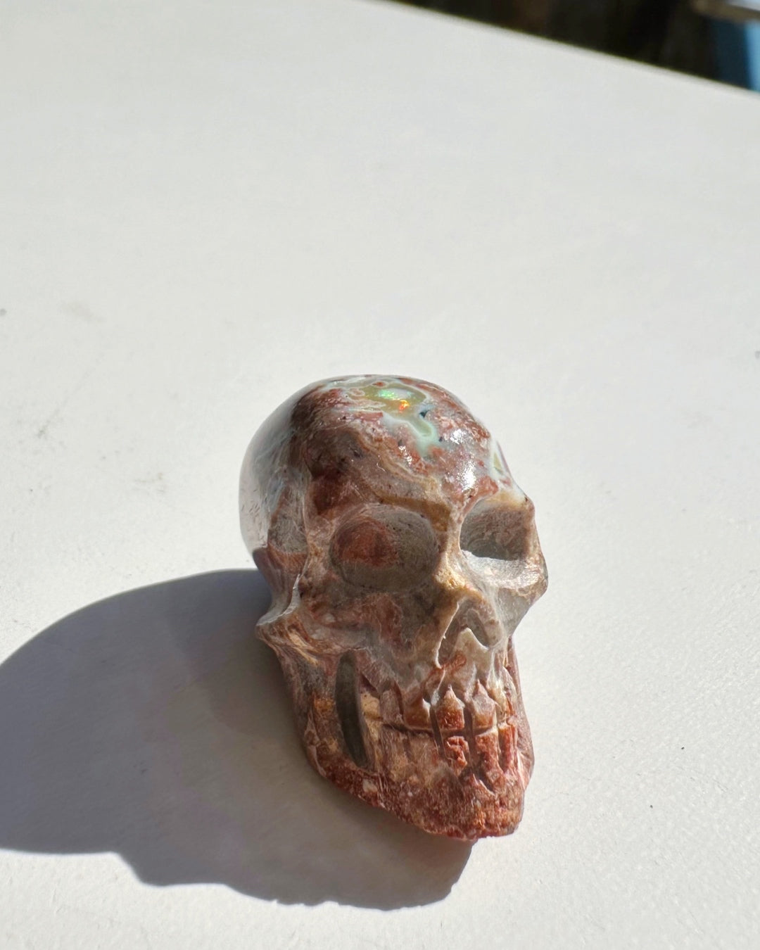 Cantera Opal Skull