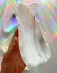 White Calcite Dish E