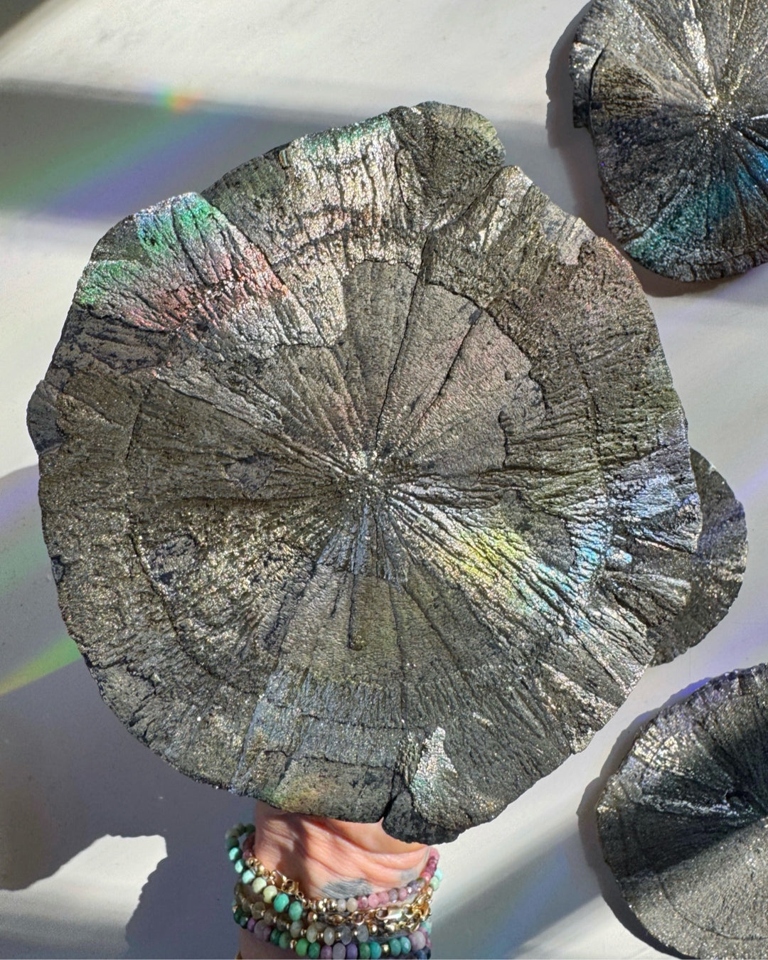 Pyrite Sun - Baltic Mermaid