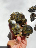 Rare Mali Green Grossular Andradite Garnet w/ Clinochlore AAA Quality Baltic Mermaid