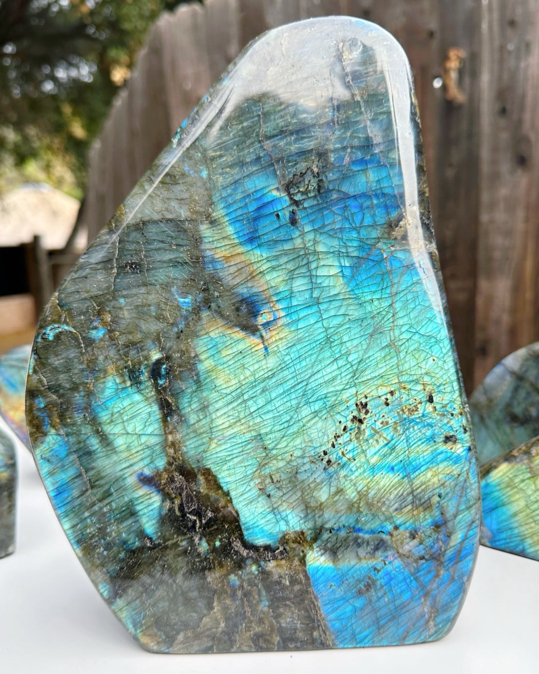 Labradorite Freeform