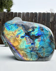 Labradorite Freeform