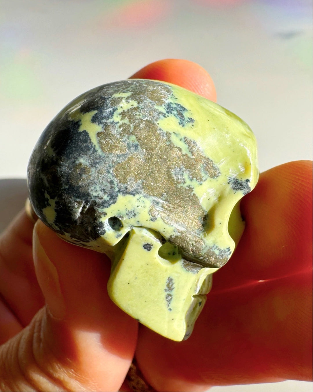 Serpentine Skull - Baltic Mermaid