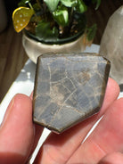 Ammolite Gemstone Hand Specimen Baltic Mermaid