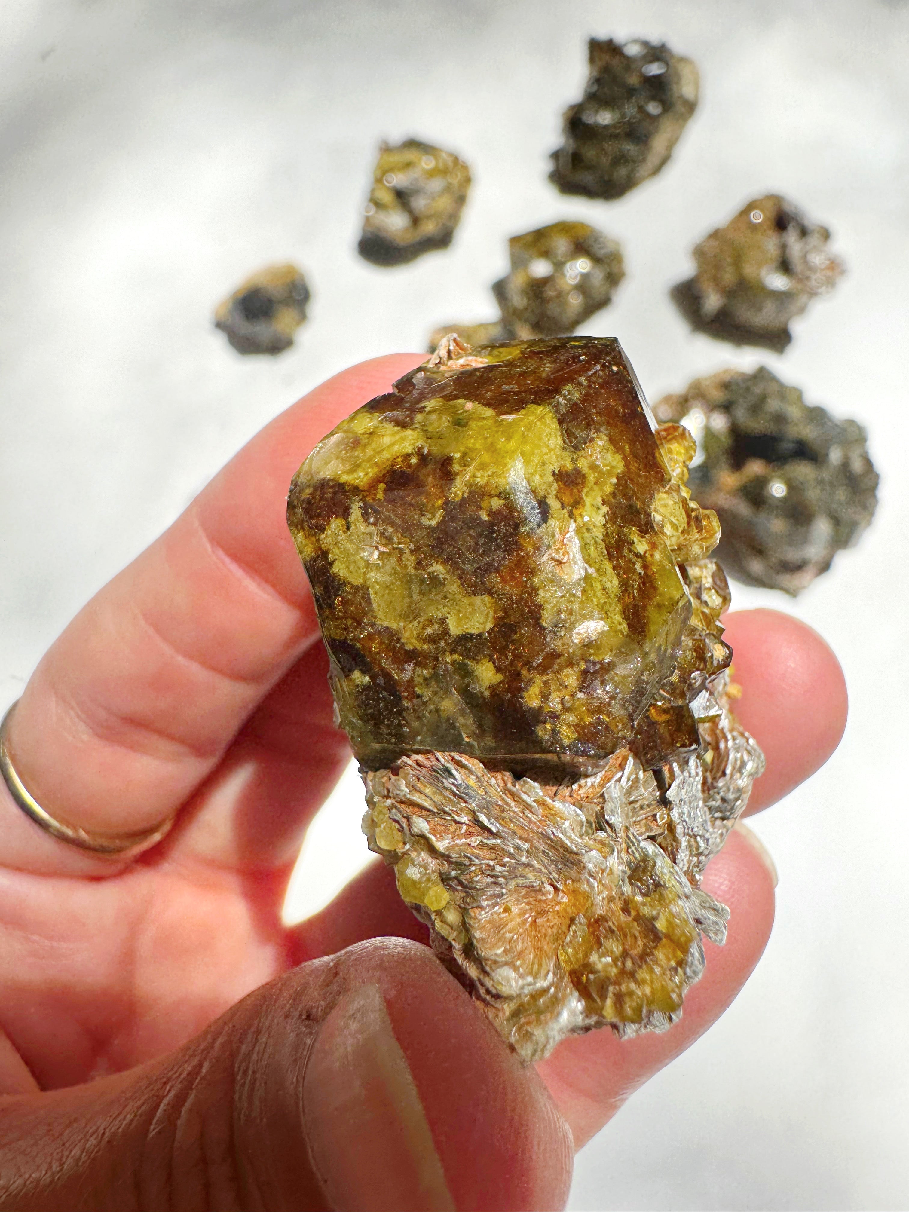 Rare Mali Green Grossular Andradite Garnet w/ Clinochlore AAA Quality Baltic Mermaid