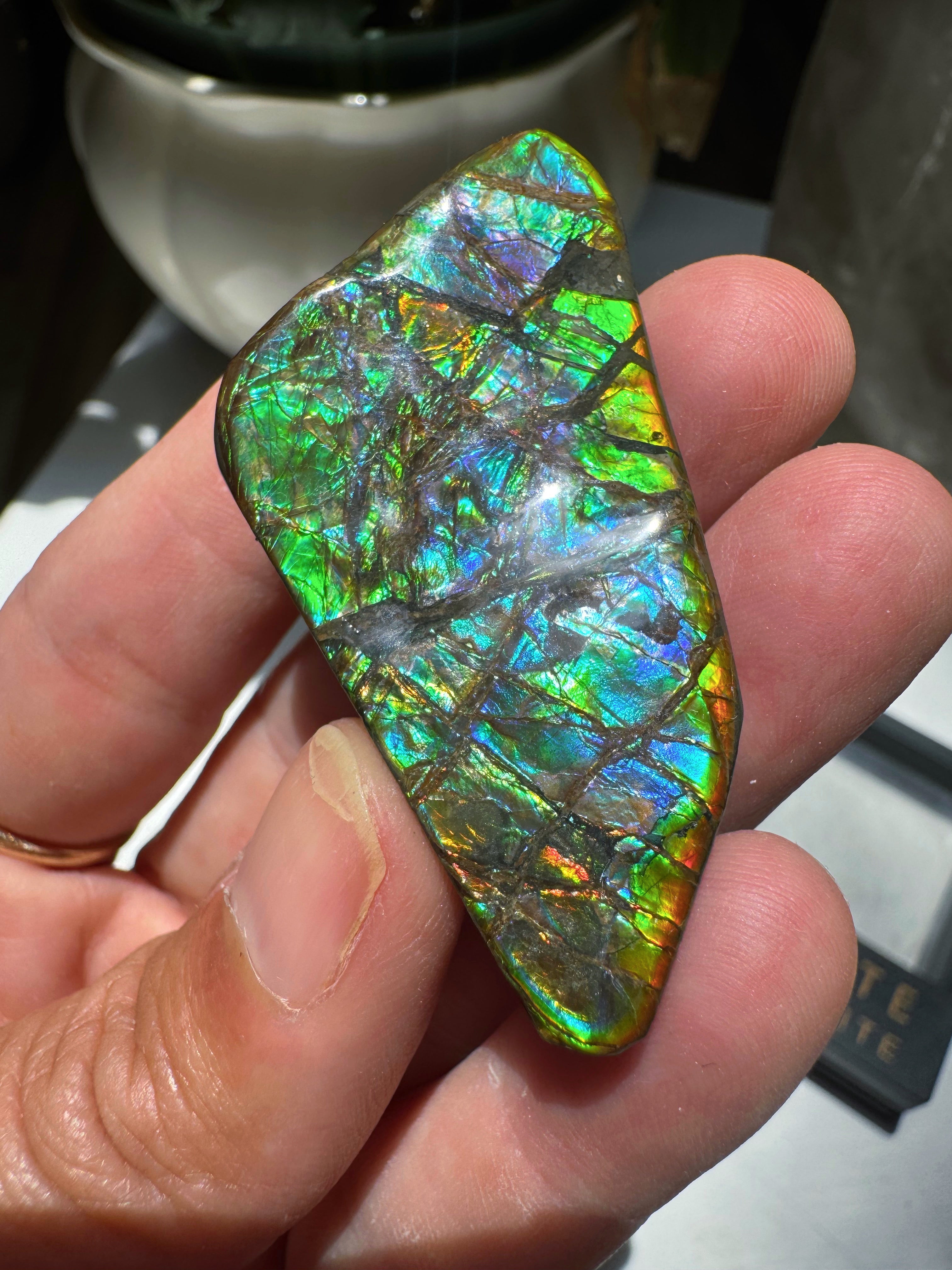 Ammolite Gemstone Hand Specimen Baltic Mermaid