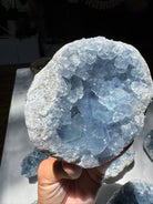 Celestite Cluster Baltic Mermaid