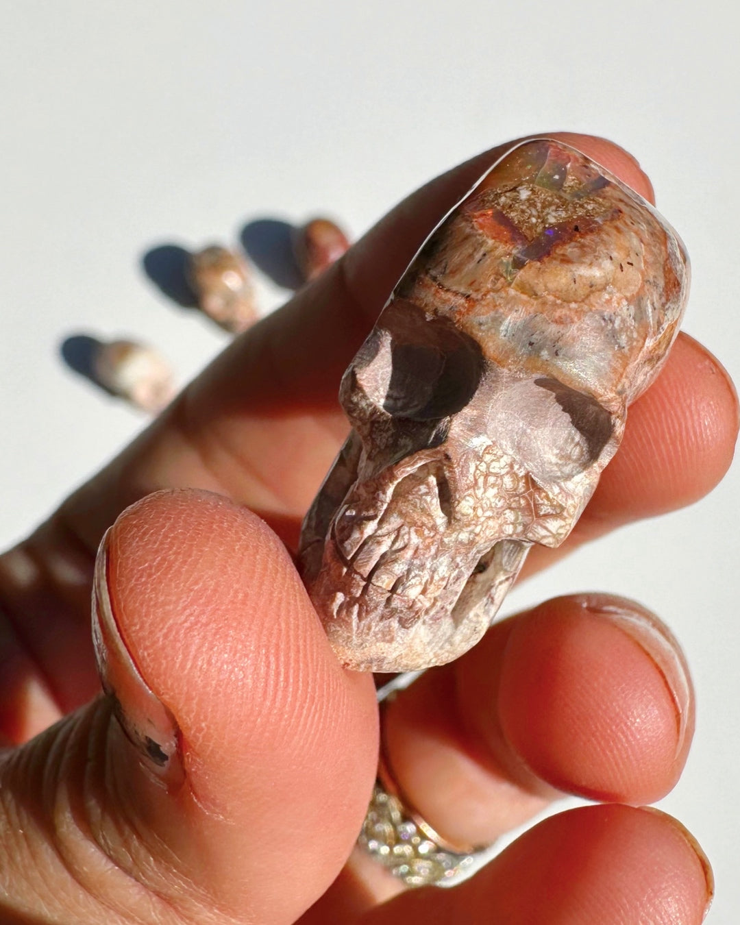 Cantera Opal Skull - Baltic Mermaid