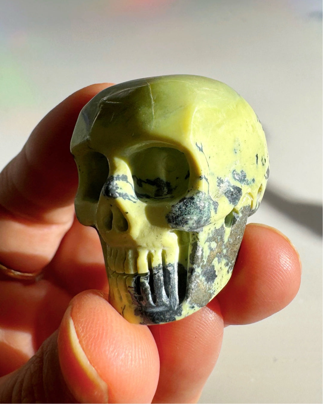 Serpentine Skull - Baltic Mermaid