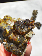 Rare Mali Green Grossular Andradite Garnet w/ Clinochlore AAA Quality Baltic Mermaid