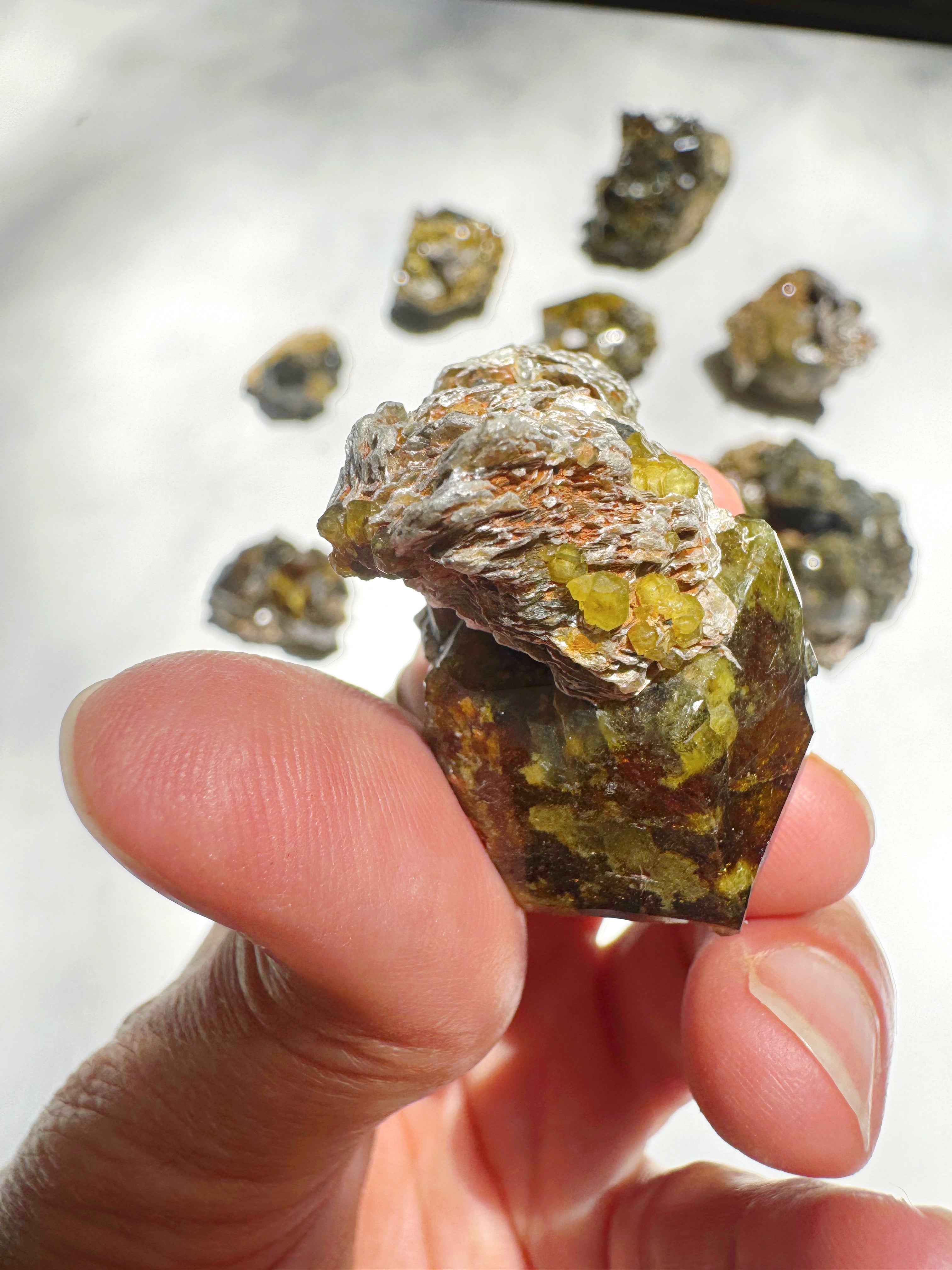 Rare Mali Green Grossular Andradite Garnet w/ Clinochlore AAA Quality Baltic Mermaid