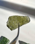 Chlum Moldavite w/ Rainbow 