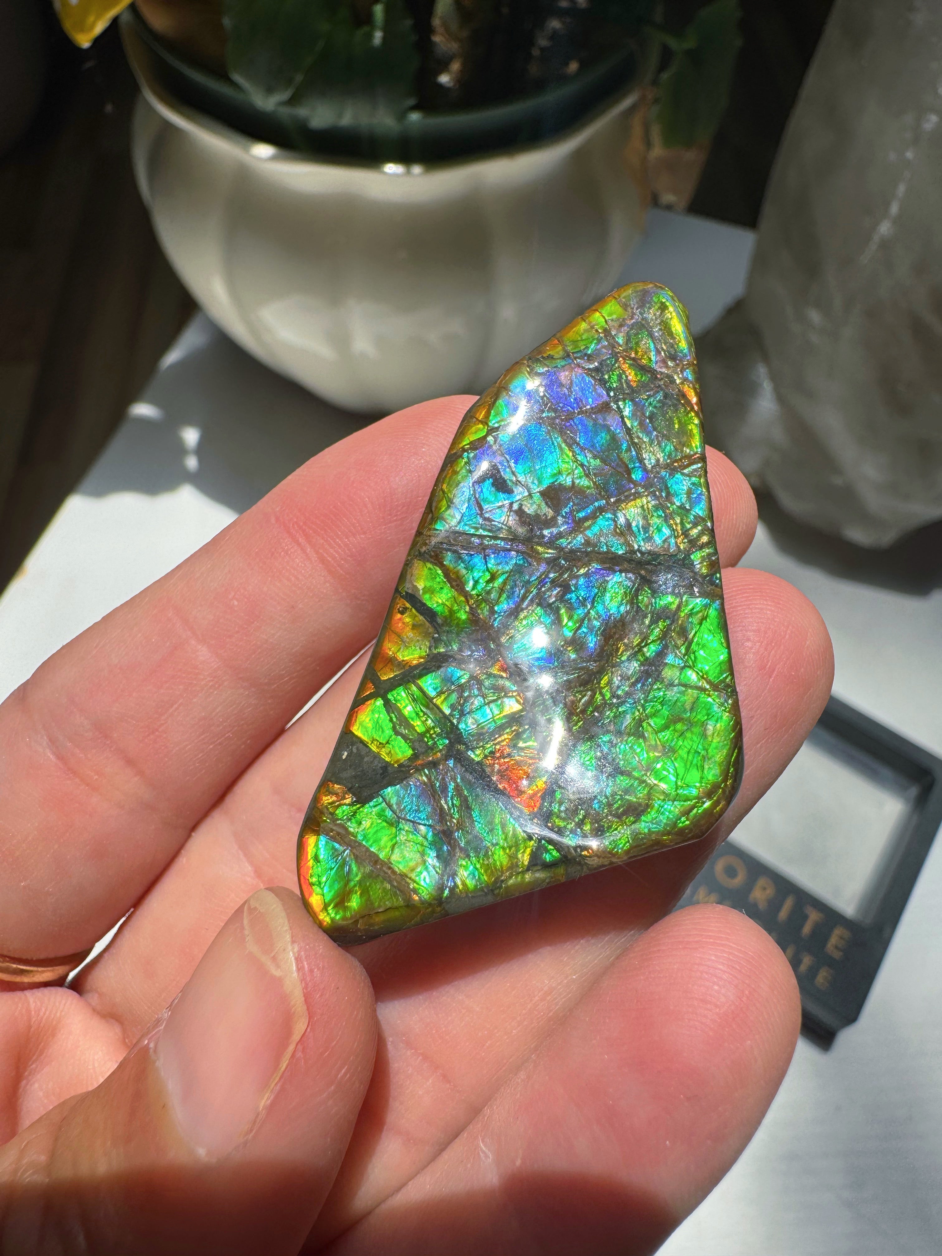 Ammolite Gemstone Hand Specimen Baltic Mermaid